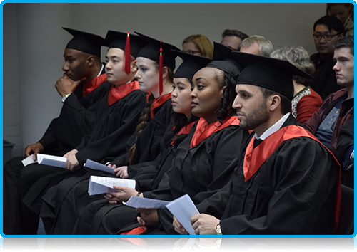 High Rise in International Students for The Netherlands