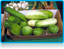 In many languages, the silly season is called "cucumber time" or similar.