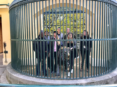 Wittenborg Vienna Students Visit Oldest Zoo in the World