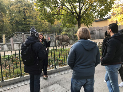 Wittenborg Vienna Students Visit Oldest Zoo in the World