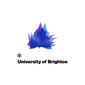 Programme Development Companies
