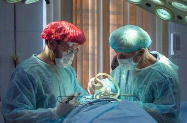 New Organ Donor Act will also Apply to International Students New Organ Donor Act will also Apply to International Students