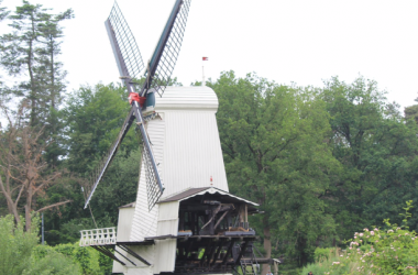 Wittenborg Students at Open-Air Museum Arnhem