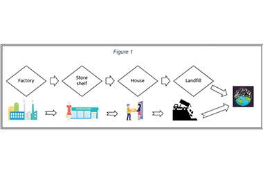 Business Students should Learn about Cradle to Cradle Principles 