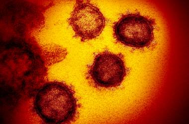 Corona Covid-19 virus update Corona Covid-19 virus update