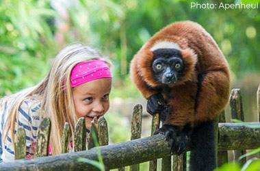 Wittenborg Puts Apeldoorn Zoo in Spotlight for First Online Project Week
