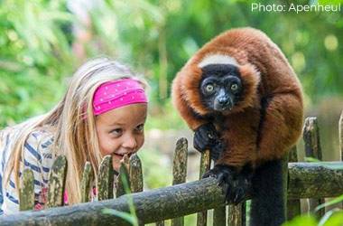Wittenborg Puts Apeldoorn Zoo in Spotlight for First Online Project Week Wittenborg Puts Apeldoorn Zoo in Spotlight for First Online Project Week
