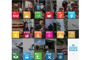 Wittenborg Sets to Pick up Pace to Act on UN SDGs & Societal Impact