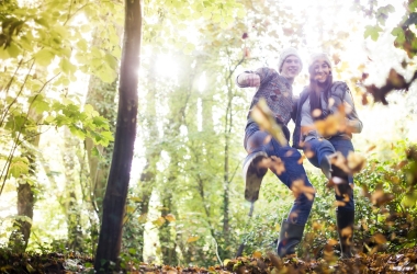 Discover Apeldoorn's Exciting November Activities