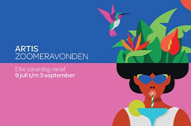 Summer in the City: Amsterdam Features Variety of Events in August and September