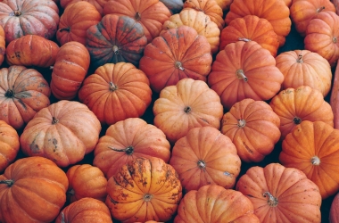Exciting Things to Do in Apeldoorn this October Exciting Things to Do in Apeldoorn this October