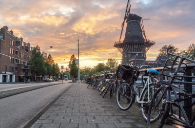What to Do in Amsterdam This October What to Do in Amsterdam This October