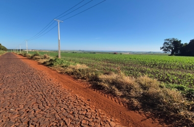Wittenborg Journalist Walks 102 km in 24 Hours on Epic Personal Challenge