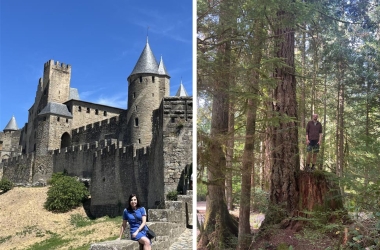 Recharge, Explore, Enjoy: Wittenborg Staff and Students’ Summer Highlights