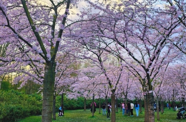 Amsterdam's Cultural Agenda is Blooming This March 2026 Amsterdam's Cultural Agenda is Blooming This March 2026