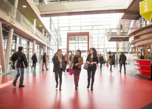 Dutch universities are expecting record numbers of international students when the new academic year starts in September, the Dutch financial daily Het Financieel Dagblad (FD) reported this week. The paper even talks of an “explosion” of first year students from abroad. Technical studies and International Business Administration (IBA) programmes in particular are proving popular