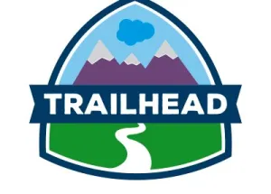 Career Counsellor Sanne de Jong brings in Paul Ginsberg of Cloud Integrate to talk about Salesforce and Trailhead