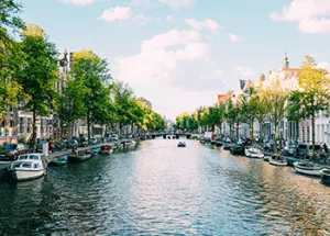 Netherlands Grapples with How to Stay Atop in HE