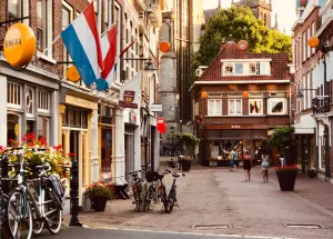 Wittenborg Chair Shares View that International Graduates Need to Speak Dutch if They Wish to Stay in the Netherlands Long-Term