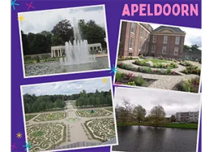 Wittenborg's 1st Project Week for 2021-2022: City Marketing of Apeldoorn