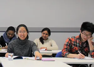 Dutch Senate Airs Reservation about New Language and Accessibility Bill