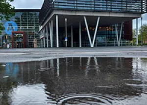 Warm Weather and Sunny Sky Just Around Corner 