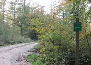 Royal Crown Estate in Apeldoorn Set to Open Year-Round from Next Year