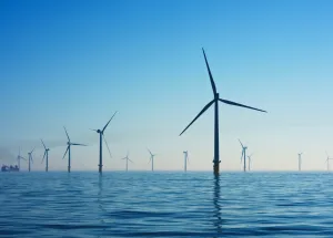New Wittenborg MBAs Aligned with Environmental and Industry Needs