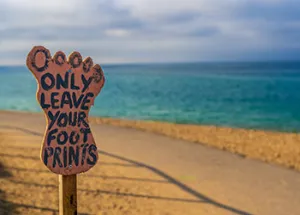 Wittenborg Organises Project Week Focused on Sustainability in Business