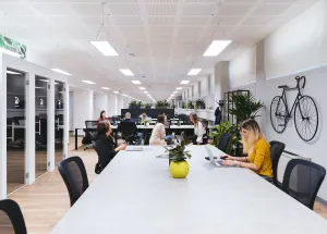 Wittenborg CEO Talks Employability and Job Market Trends in the Netherlands