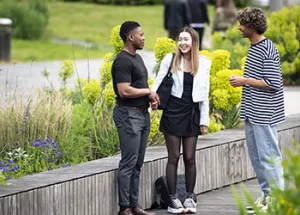 How international students are soaking up the Dutch sunshine