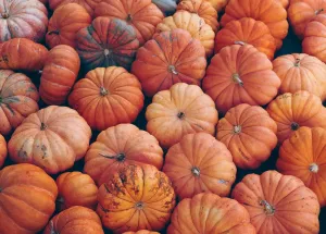  Exciting Things to Do in Apeldoorn this October 