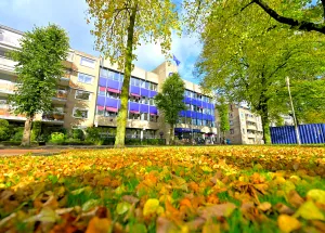  Dutch Parliament Ditches Language Test — Wittenborg President Weighs In