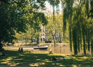 Summer in the Netherlands Your Guide to August 2026 in Apeldoorn and Amsterdam Summer in the Netherlands Your Guide to August 2026 in Apeldoorn and Amsterdam