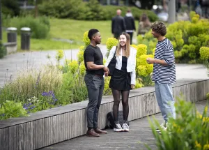 Webinar: Accommodation in the Netherlands - Student Housing & Support from Wittenborg Webinar: Accommodation in the Netherlands - Student Housing & Support from Wittenborg