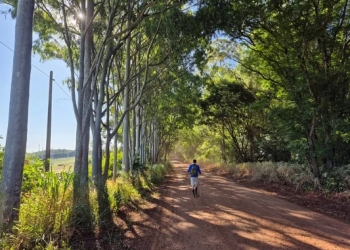 Wittenborg Journalist Walks 102 km in 24 Hours on Epic Personal Challenge