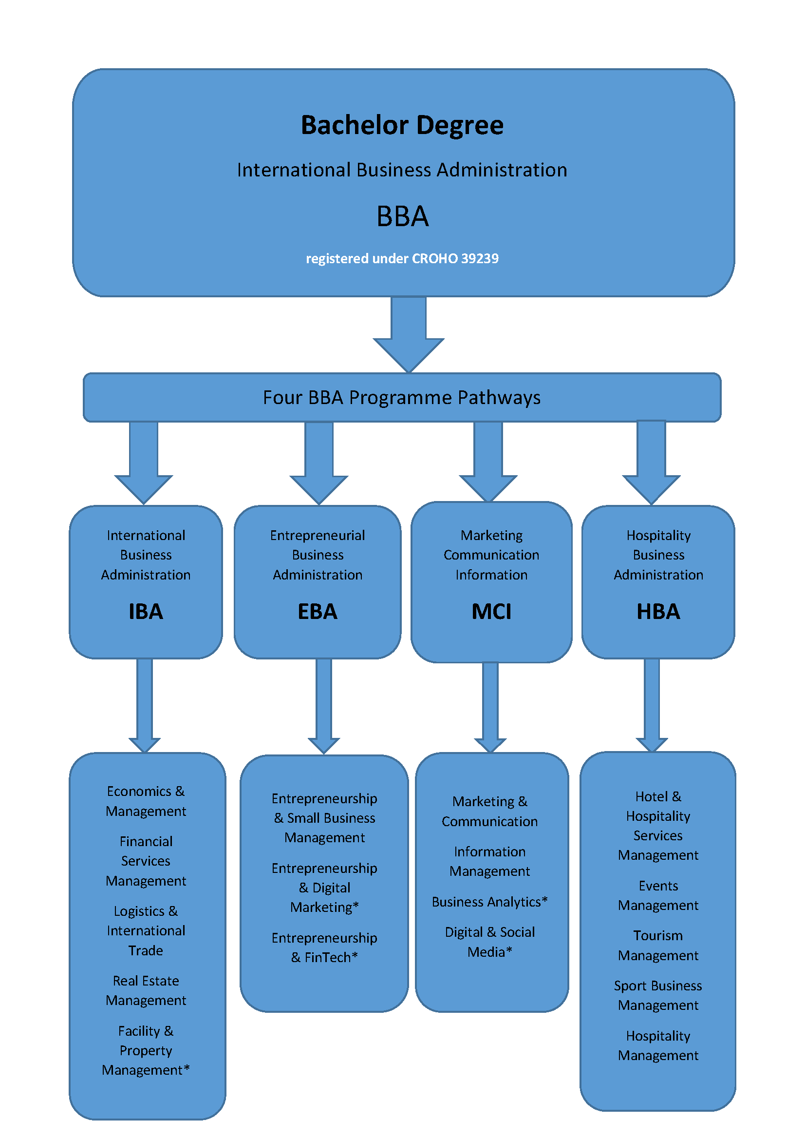 Bachelor Pathways and Specialisations